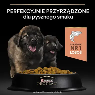ProPlan