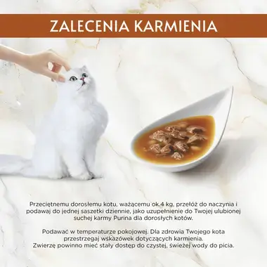 GOURMET® SOUP ROYALE z Łososiem, Płastugą i Dorszem