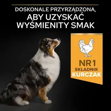 ProPlan