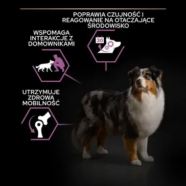 ProPlan