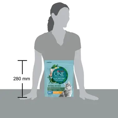 Purina® ONE® Dual Nature Spirulina – sucha karma z kurczakiem dla kotów