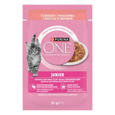 Purina® ONE® Junior z Łososiem