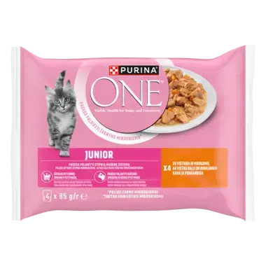 Purina® ONE® Junior z Kurczakiem