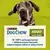 dogchow