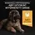 Pro Plan Puppy Large Robust Healthy Start – karma z kurczakiem