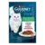 Gourmet