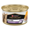 kitten healthy start