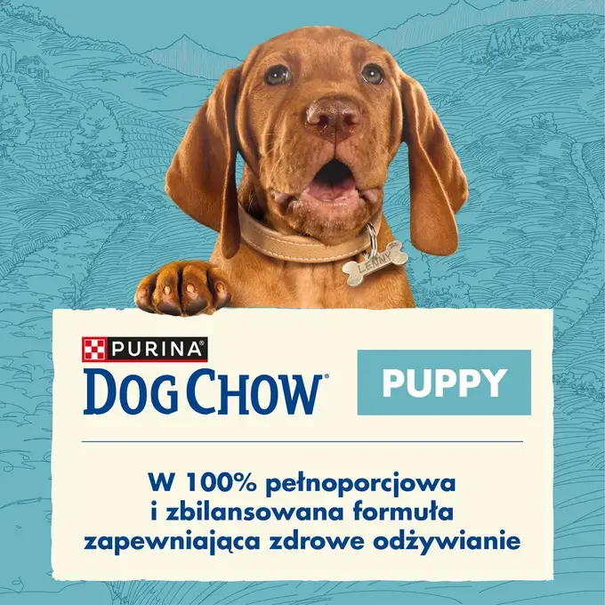 Karma Purina DOG CHOW Puppy z Jagni cin PURINA