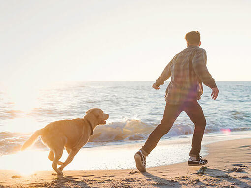 Mężczyzna i pies biegający po plaży