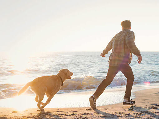 Mężczyzna i pies biegający po plaży