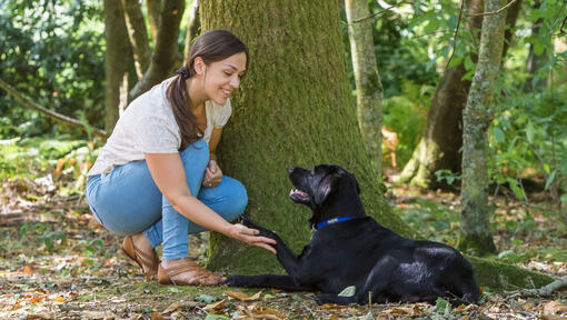 Kobieta przykucnęła z psem w pobliżu drzewa