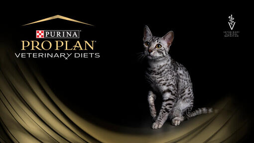 Purina ProPlan® kot​