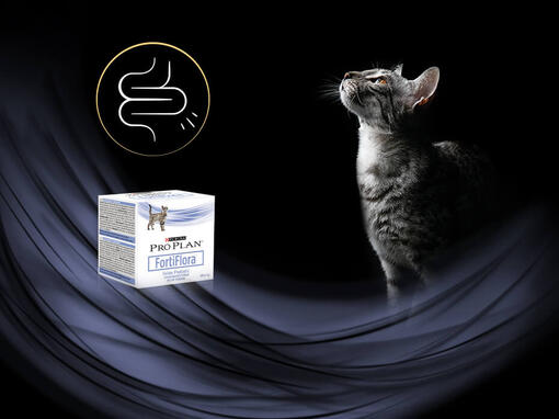 Pro Plan Veterinary Diets FortiFlora