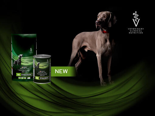 Pro Plan Veterinary Diets HA Hypoallergenic