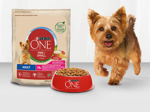 Purina ONE® Mini karma sucha