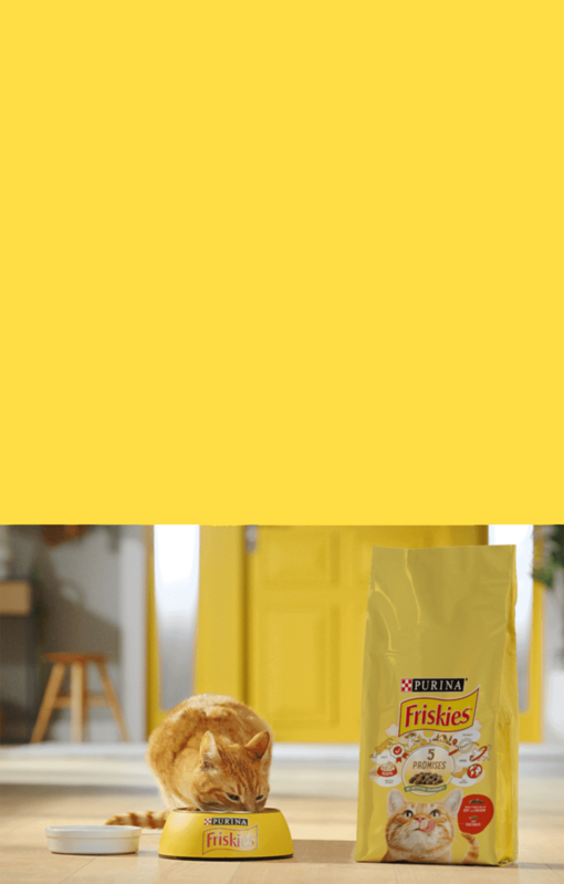 Friskies® Kot Hero Banner​