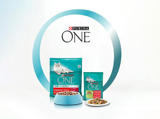 Purina ONE® Bifensis