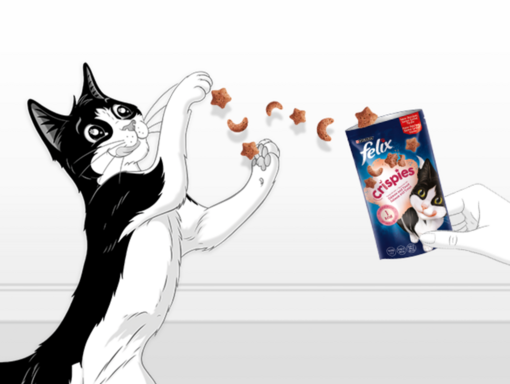 Felix® Przysmaki