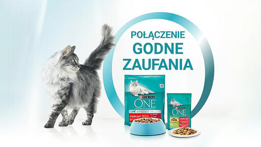 Purina® ONE® żywienie łączone​
