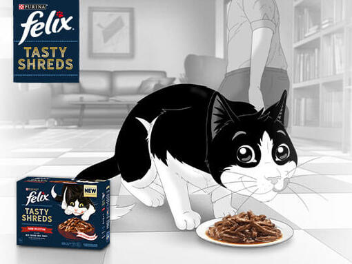 Felix® Tasty Shreds