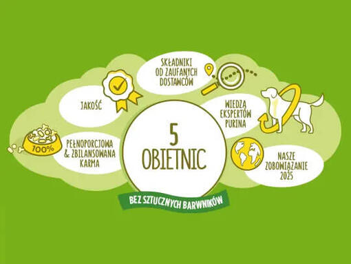 5 obietnic marki Friskies