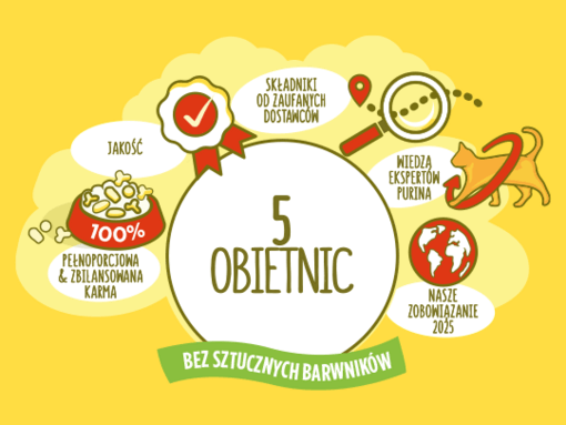 5 obietnic marki Friskies