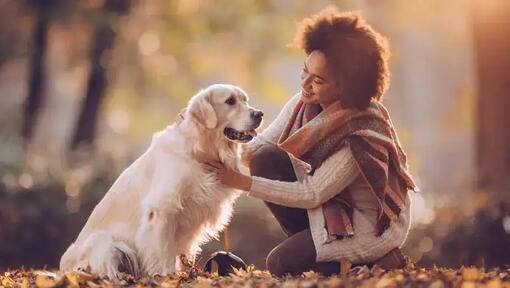 zdjęcie kobiety z psem rasy golden retriever w jesiennym lesie
