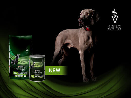Purina Pro Plan Veterinary Diets HA Hypoallergenic mokra karma dla psów