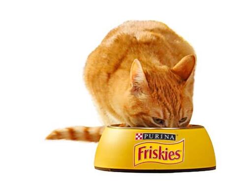 Rudy kot jedzący z miski z logo Friskies
