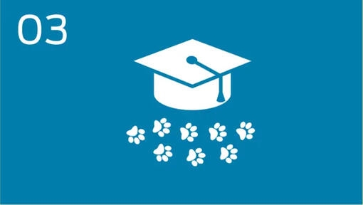Infografika o edukacji o zwierzętach