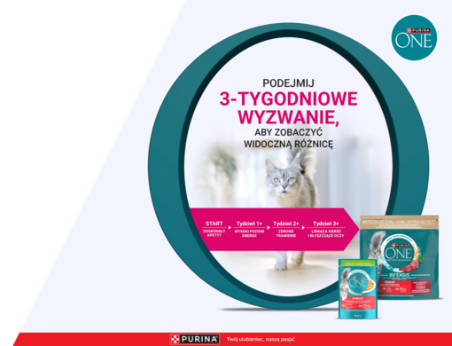 Purina ONE PSO banner