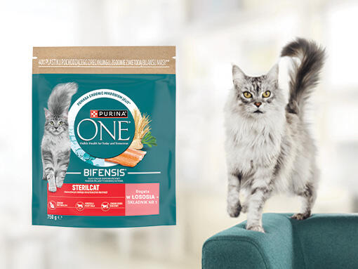 Purina ONE
