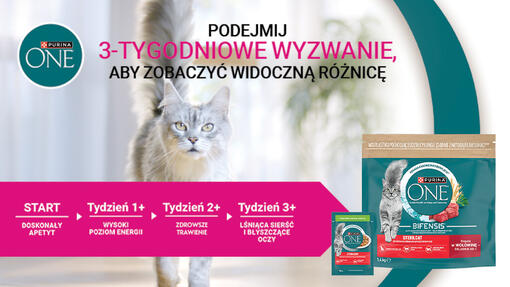 Purina ONE
