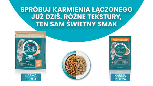 Purina ONE