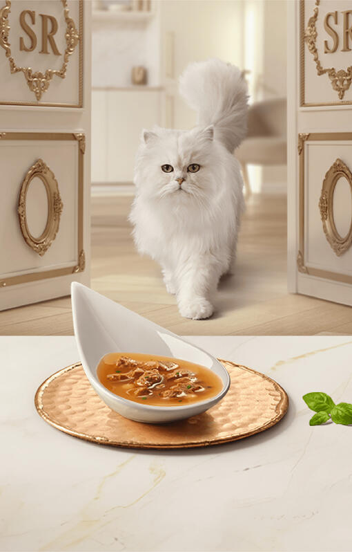 Gourmet