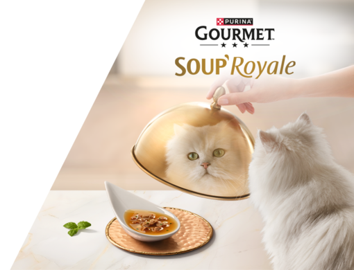 Gourmet