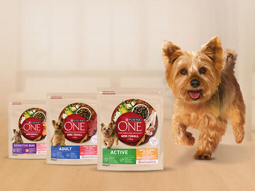 Purina ONE dog mini