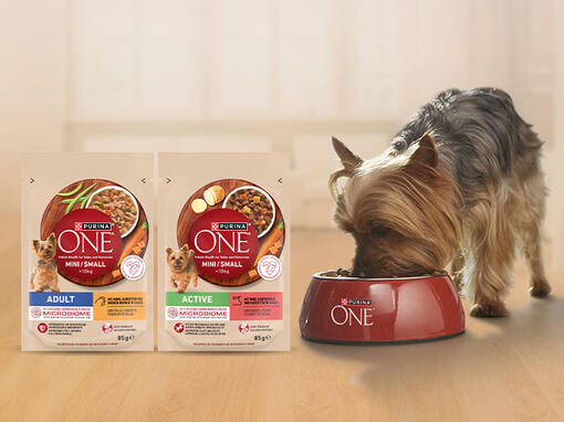 Purina ONE dog mini