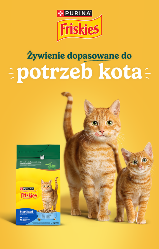 Friskies