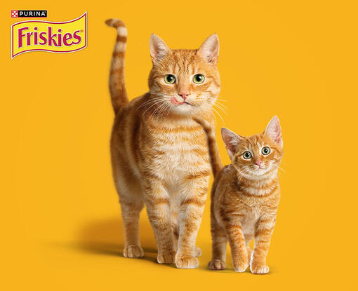 Friskies